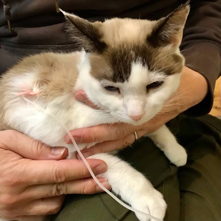 E5bb0276 2576 4c41 ae8f 79b2e401b776 1607258321665