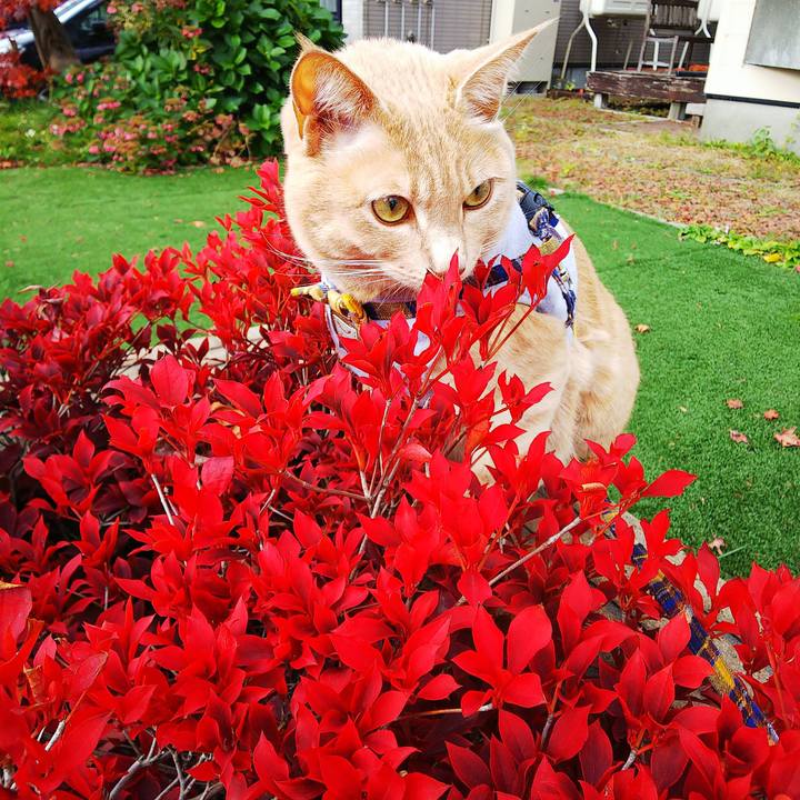 E5bb2f7e 103c 4fde a8db d4ba07c8af1d 1572739653708