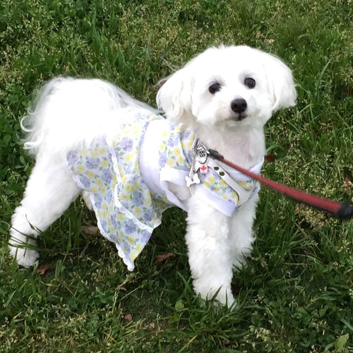 E5bb3fe2 2298 4eb6 b679 e93b14ad8e5f 1524882275258