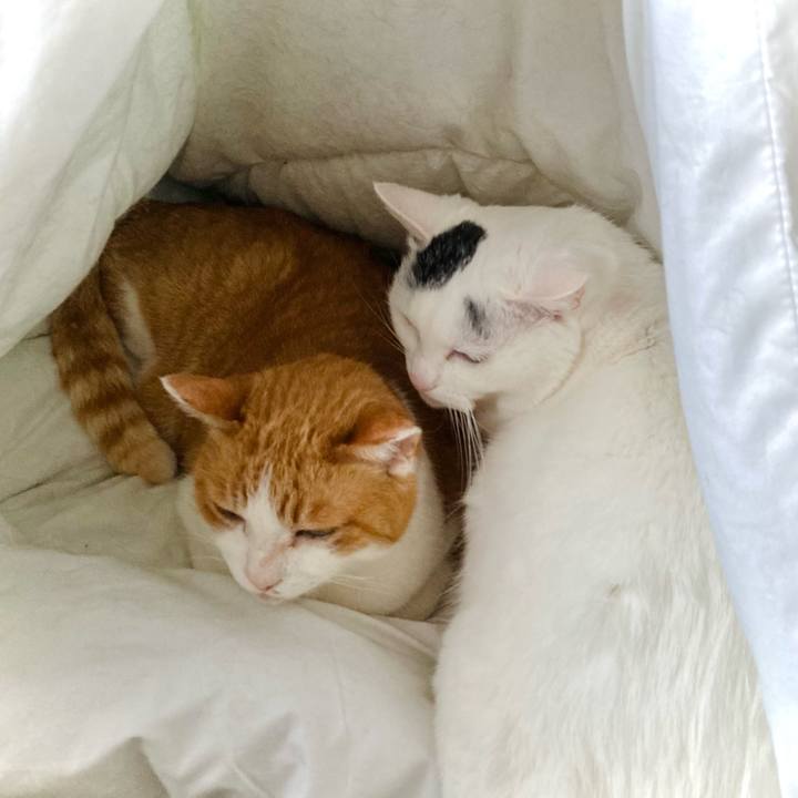 E5bb6895 1018 48db a31b 9cce6592d54d 1706599779470