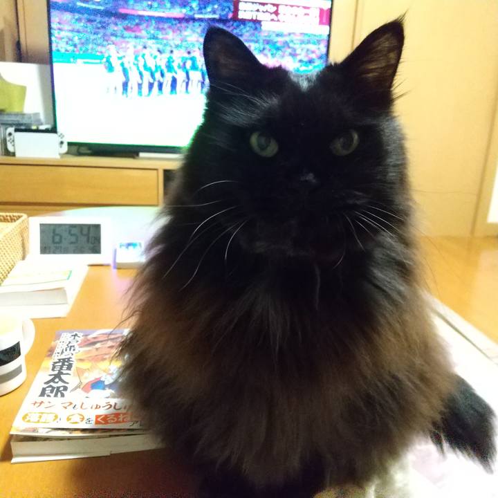 E5bb76d7 b197 496a a31c 94b37b3e962c 1669543002154