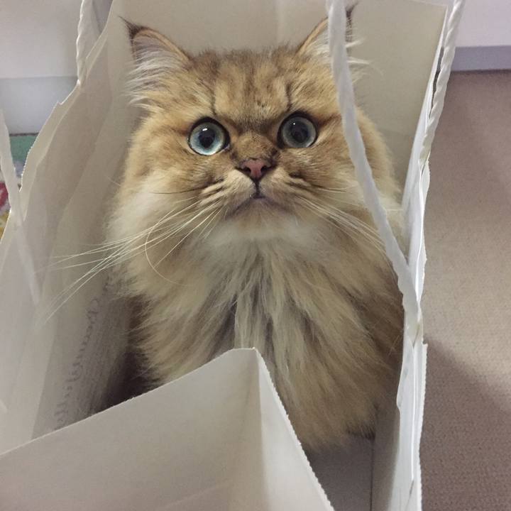 E5bb7c29 1878 46cc 98e7 21c643ba4a00 1540108492316