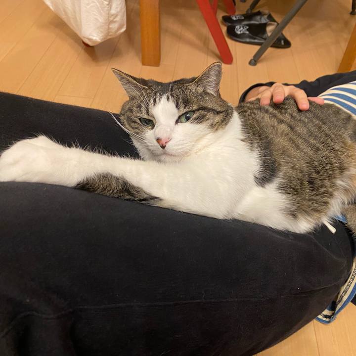 E5bb9122 e060 4f02 a784 8a9c6d431850 1614349106188