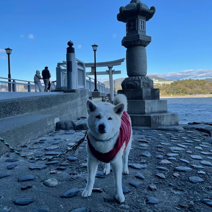 E5bba4e2 ae4e 4e56 bdba a453b8ee5ae8 1641118484971