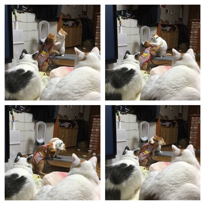 E5bbb140 e6e3 41e9 b7d6 5f6ad62e84d2 1581856693626