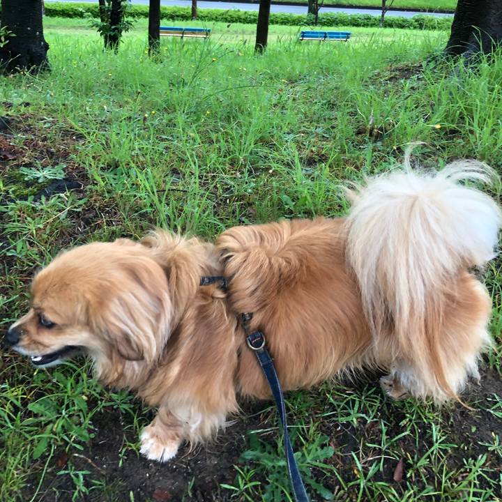 E5bbfc12 5e06 4ed9 863a b32affdb810a 1561673403538