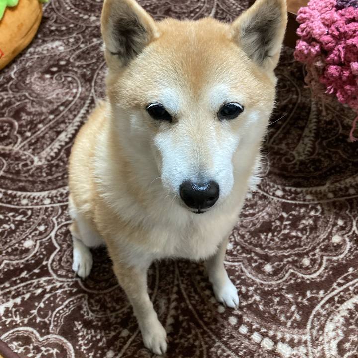 E5bc1c98 36ec 4359 b3f9 5df360dd8802 1612345200666