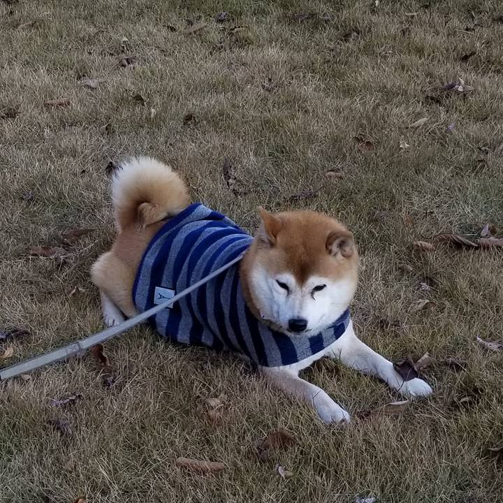 E5bc2242 7bd4 4dee a117 410ca392d3bc 1575870820360