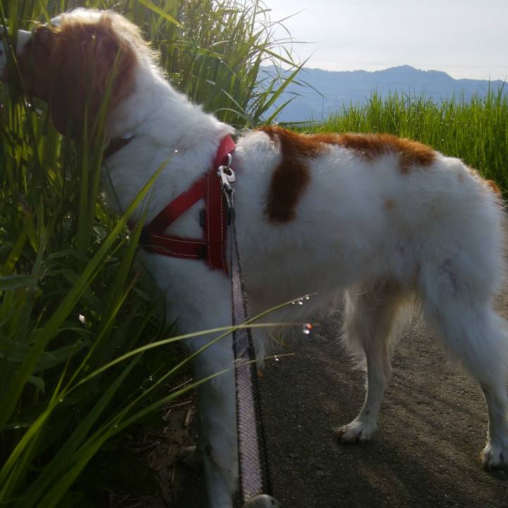 E5bc3042 e2c5 4f5e b3d9 dd979347f98f 1526083133712