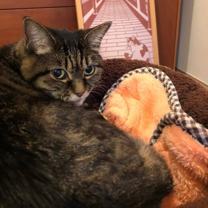 E5bc418f f780 4eda af6d 4194fa6240b3 1765318397601