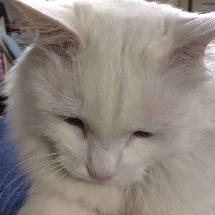 E5bc4aa8 e078 4cb7 b71e 7857623e626b 1510007446283