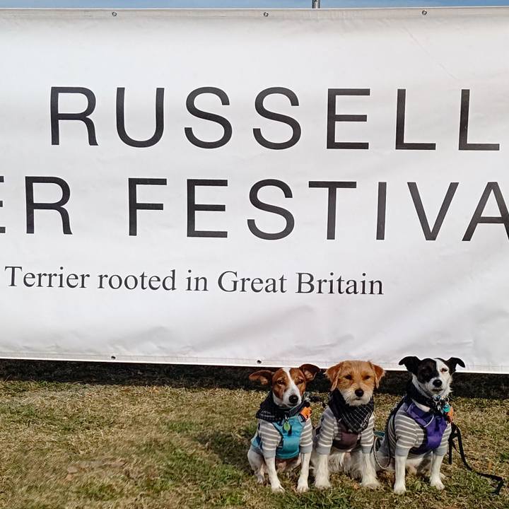 E5bc54ea 60e7 4c3e bcae 83833ebca2e8 1700746370065