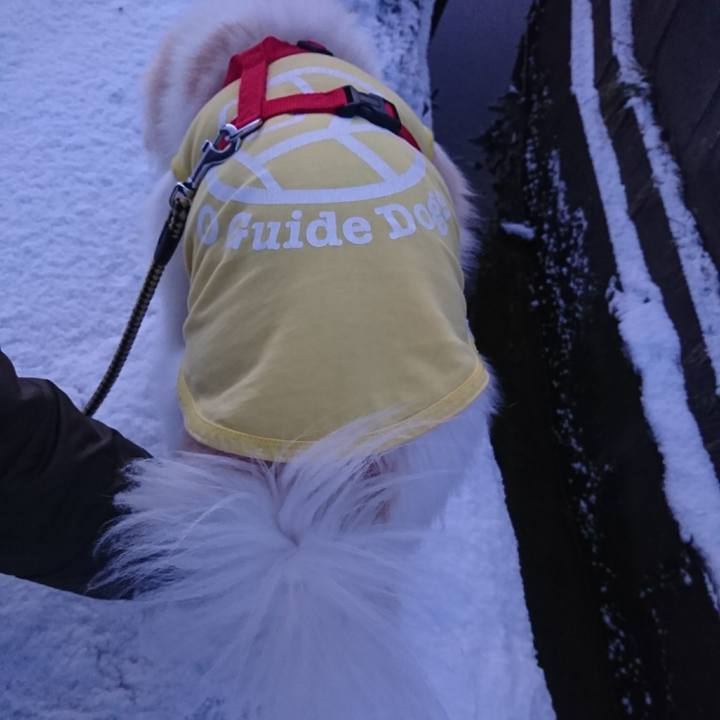 E5bc7a64 fd08 4665 b0b4 d81fe4dd80cd 1517780427081