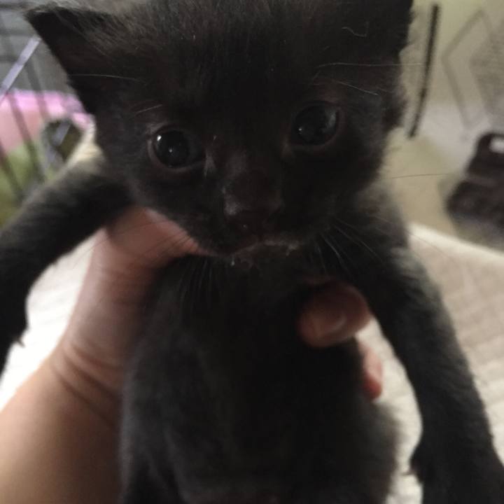 E5bcb9b3 4983 4ce5 9493 2c2887e914ab 1524289000106