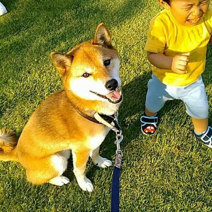 E5bcbb9e 11cd 45bf afa5 f26ef9eb5bc0 1569999299942