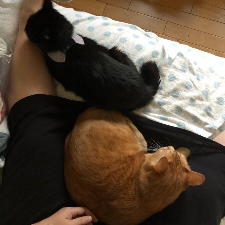 E5bcca37 a50b 479d 83ea b479e2c49877 1572849991483