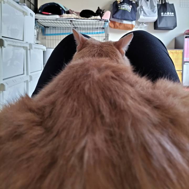 E5bcd71f dc32 48bb 8bc8 2234a8e92a67 1637793523669