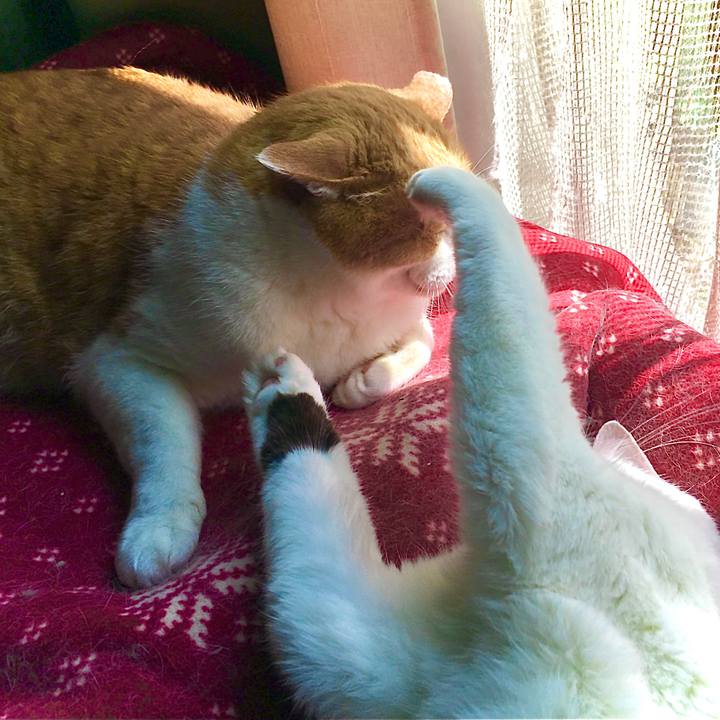 E5bd161b cbeb 4dc5 9abc 0dd57c3564ac 1593065610050