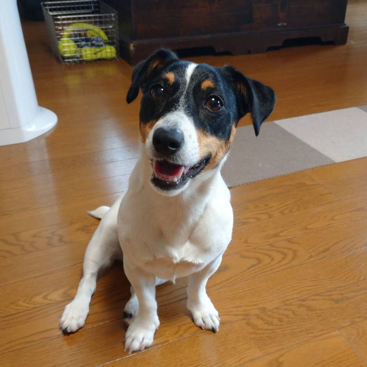 E5bd19ae f1b0 454f b543 3951cb574ac4 1590915332497