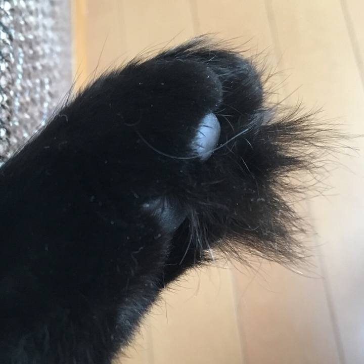 E5bd21de 81c1 436b 93bf 761cb0714ef0 1531989135071