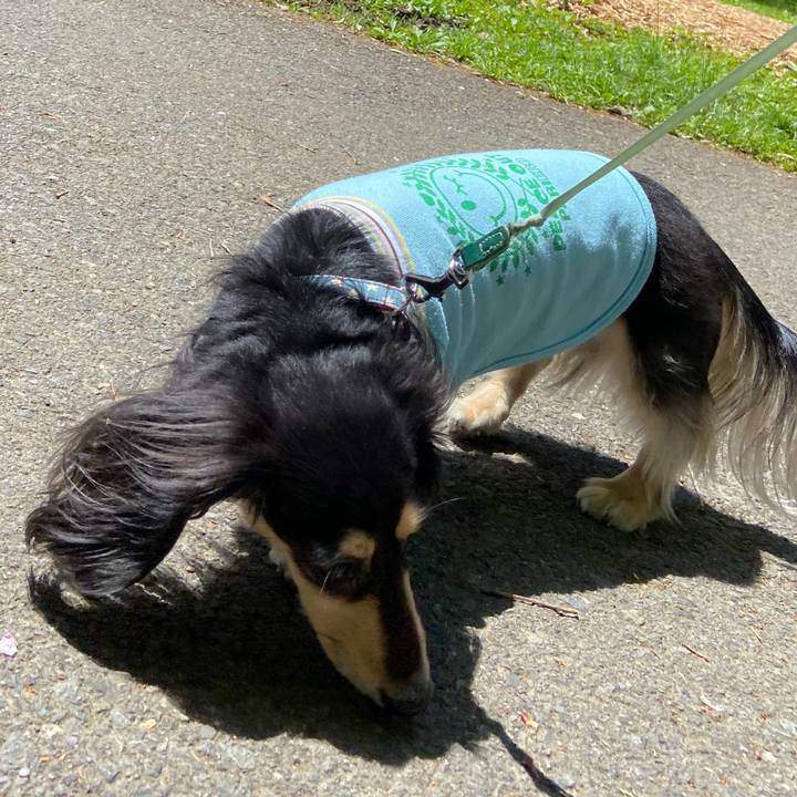 E5bd244d a684 40ea 8378 853419a7fc11 1744781953451