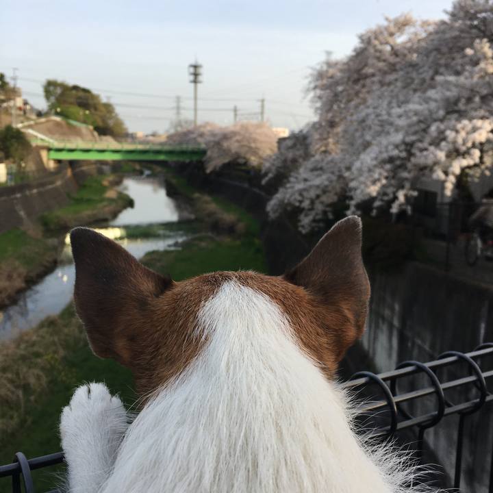 E5bd3c6b 6b1f 4796 833b 5921d8d8b782 1617146540540