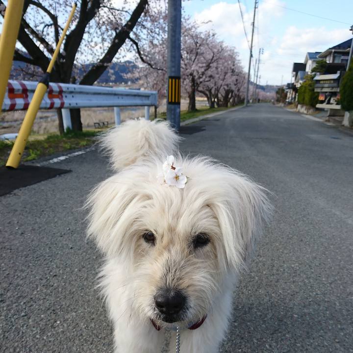 E5bd58c7 8edc 41b2 aff1 b996c659502f 1586849909727