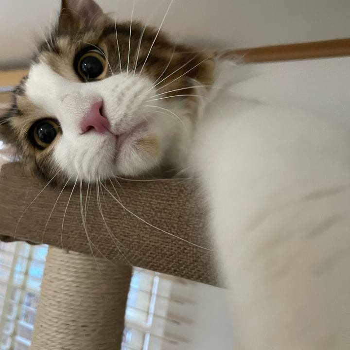 E5bd6835 424c 496f b809 e839465b8c4b 1649192902689