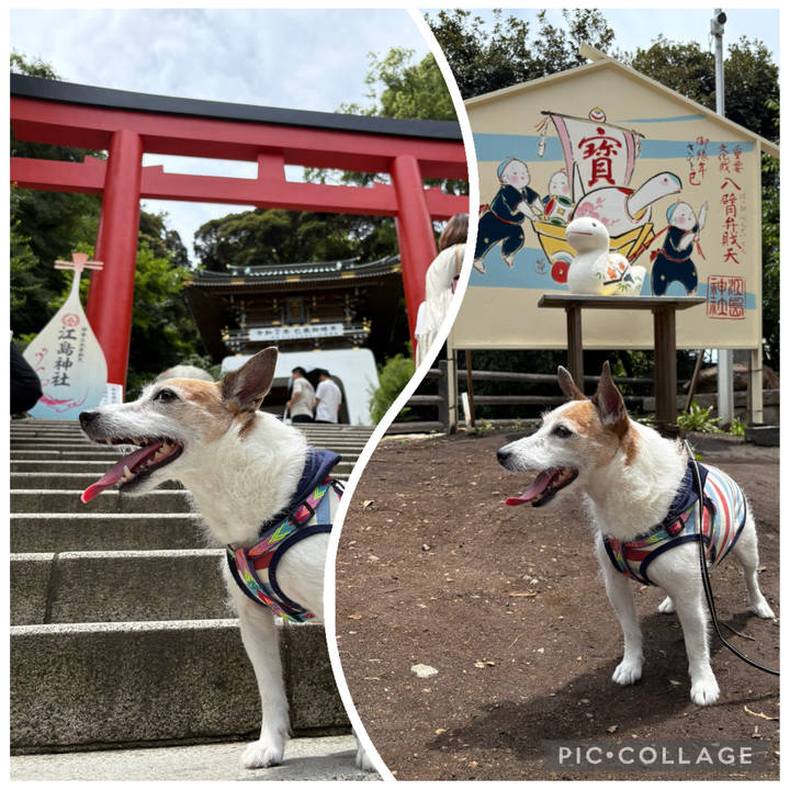 E5bd7e41 fda0 457d 8edd 52fe73802876 1751069030120