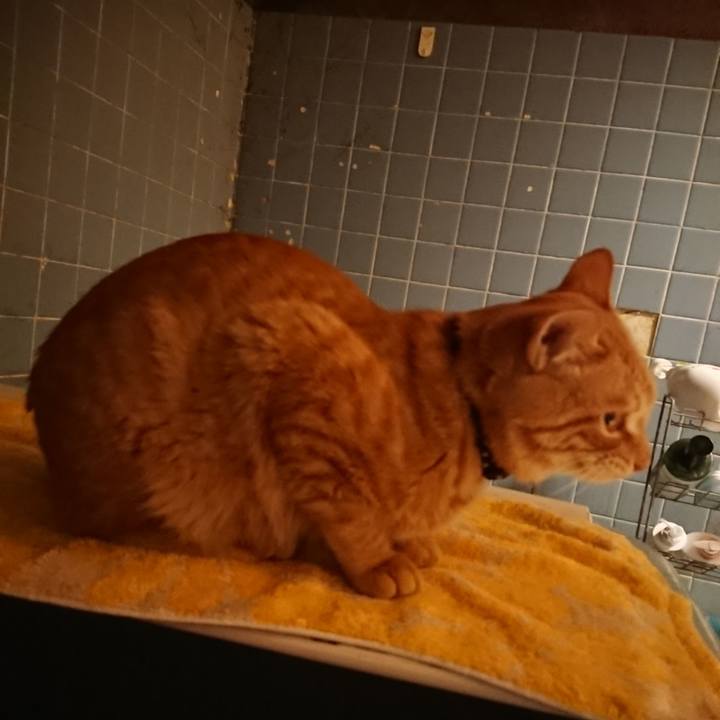 E5bd8cc1 19fa 4366 8568 fff5b4697dac 1642413776145