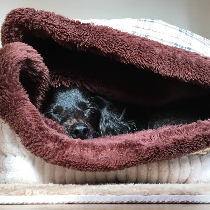 E5bda0b8 4e70 4349 83de 2bbdb220afad 1670454936112