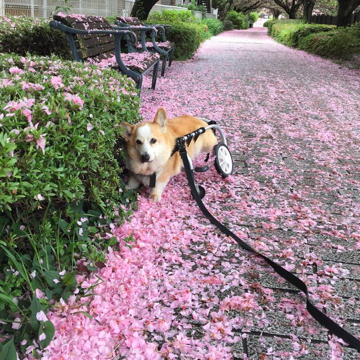 E5bde95f 4995 4f8f b270 138584cdb585 1650329809116