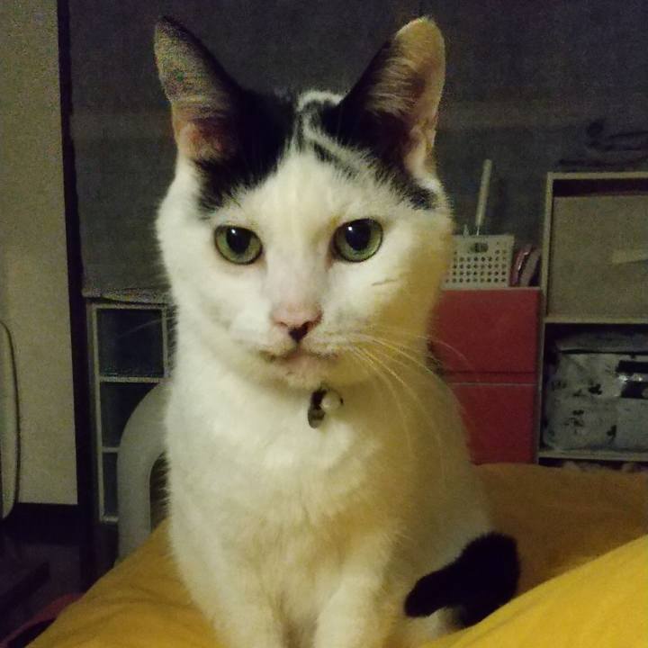 E5bdf52f 06d8 4ad3 9389 12363278c5f9 1714555919301