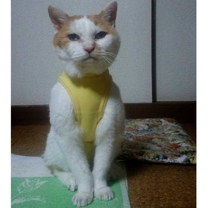 E5be3027 b40c 4c20 9c02 aa53ee96f184 1629026549274