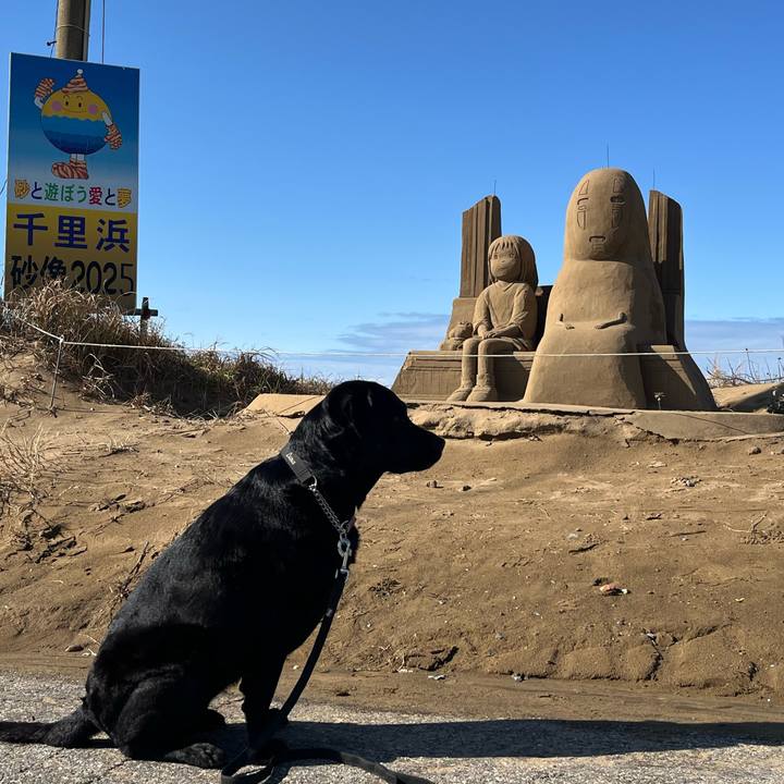 E5be39cf 5daa 4971 8e2d 847a50c83cf5 1763713574403