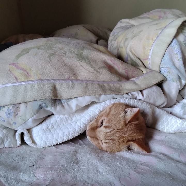 E5be66eb 1e9e 4750 a095 5066d224a665 1763095553559