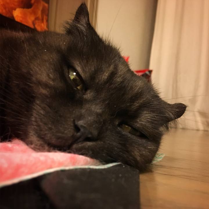 E5bf28a4 d0da 4617 af82 65d5a78942c1 1524243063720