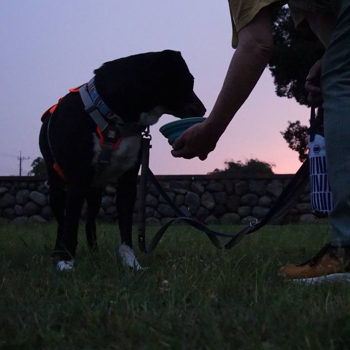 E5bf43b7 9f8e 4ae7 84bd 7deff01e8d82 1749380376021