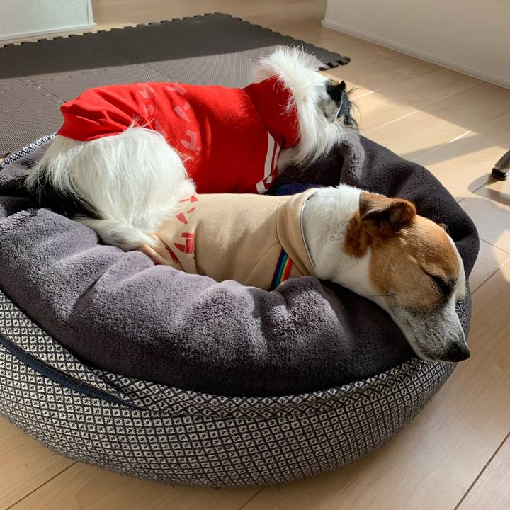 E5bf7616 a9d7 40e0 a4ff fdac7d466ff0 1642998649395