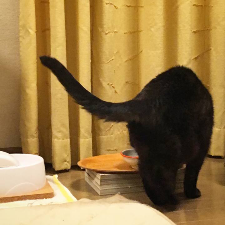 E5bf7d36 dbcb 43e2 972c 01bcabecf408 1528982340536