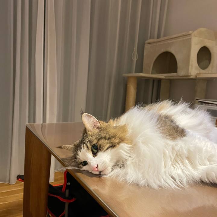 E5bfaf8f b836 496a 9d53 0846d04aadb9 1694693219944