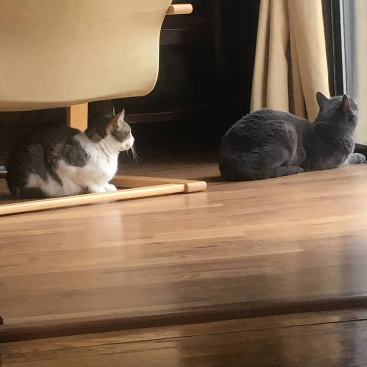 E5bfbe7f 2cf4 4e90 a11a 7184a80a5719 1618177000603