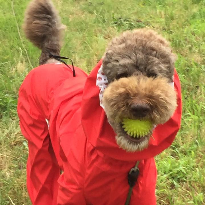 E5bfe48f 1b36 48fc 9d40 84655a980945 1530767534078