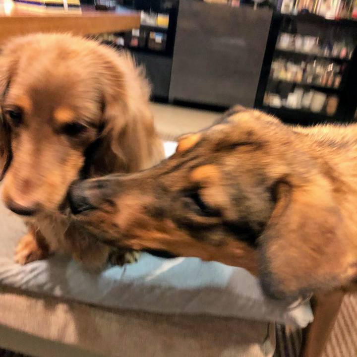 E5c00327 fdc6 4712 b773 96b9fcee7736 1701783399343