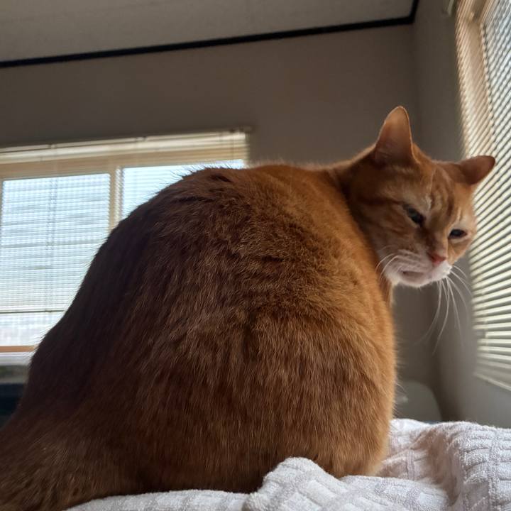 E5c00877 a6c5 4400 ac79 33a8782e2e8a 1775137134774