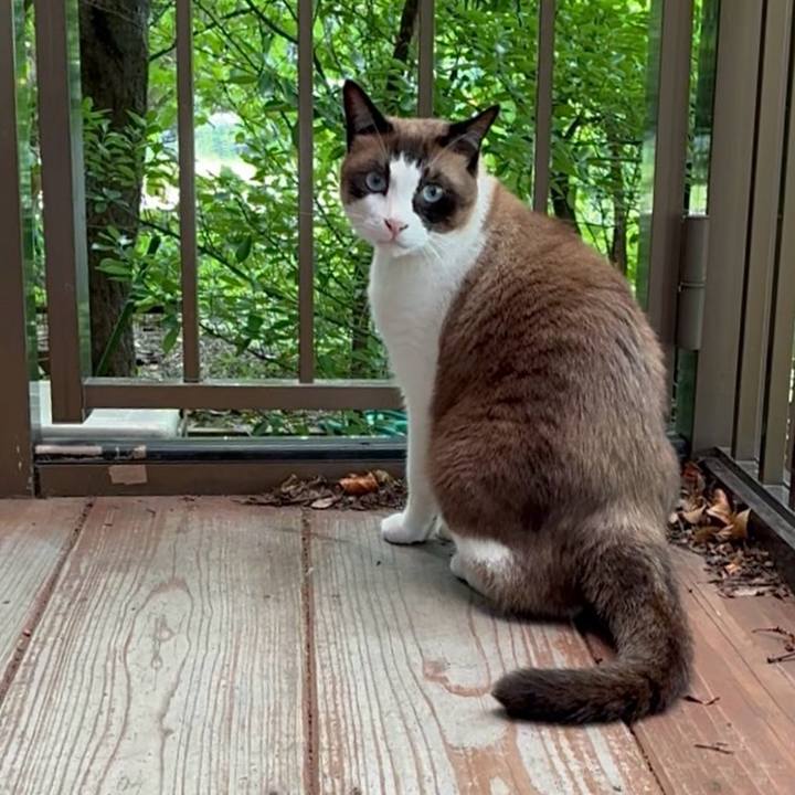 E5c00a00 38ab 4019 88ad 86231746fca2 1752975727938