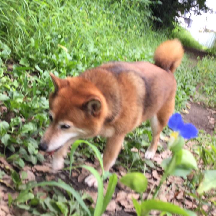 E5c015b2 d351 4469 b4d7 d753481ba4b6 1599703827124