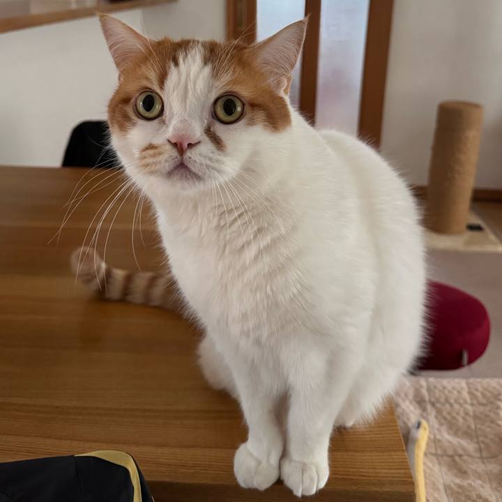 E5c03490 fadf 4267 afe7 b478bc5fea36 1777074632957