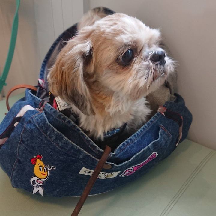 E5c03918 4dc6 40cc a0ce ab0cc47fbd55 1637201356077