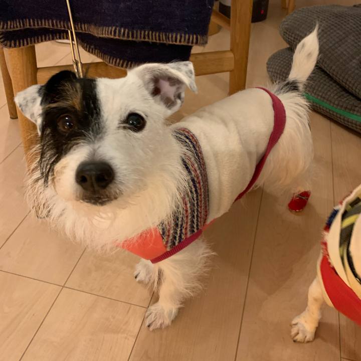 E5c076ee 35f7 4b34 91a5 54e3bc9866a6 1577443757041